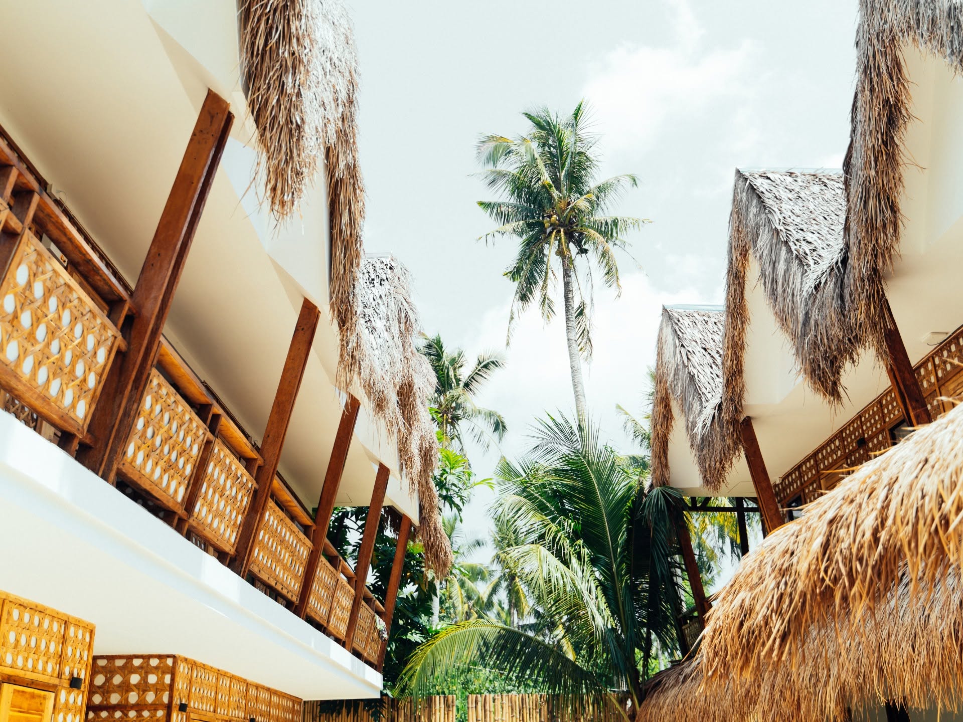 Thatched roofs and palms